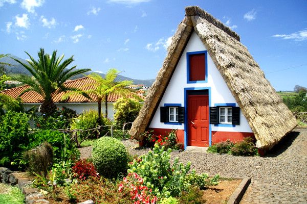 Circuit Nature et traditions, logement Framissima Évasion Pestana Ocean Bay 4* pas cher photo 24