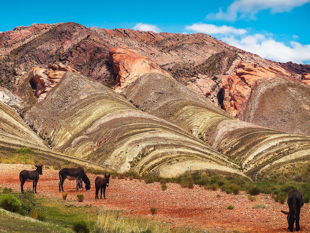 Découverte du nord argentin, d'Iguaçu et de la Patagonie pas cher photo 1