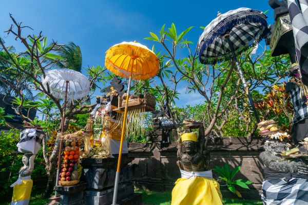 Combiné Bali, Ubud et plages PROMO 14 ou 15 jours pas cher photo 7