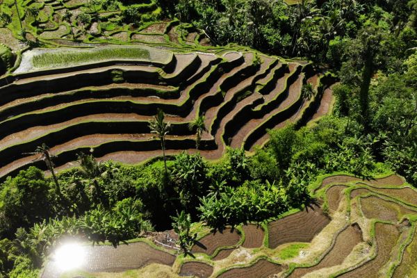 Combiné Bali, Ubud et plages PROMO 14 ou 15 jours pas cher photo 18