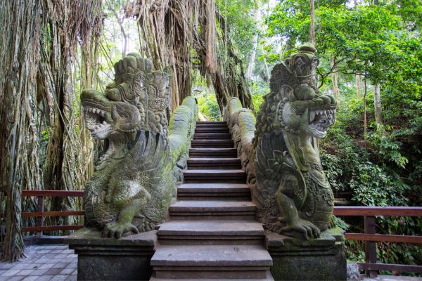 Combiné Bali, Ubud et plages PROMO 14 ou 15 jours pas cher photo 21