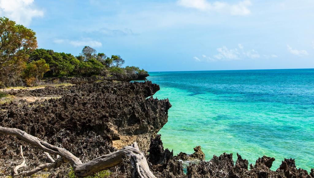 Hôtel Neptune Paradise Beach Resort 4* et Safari 3 nuits pas cher photo 11