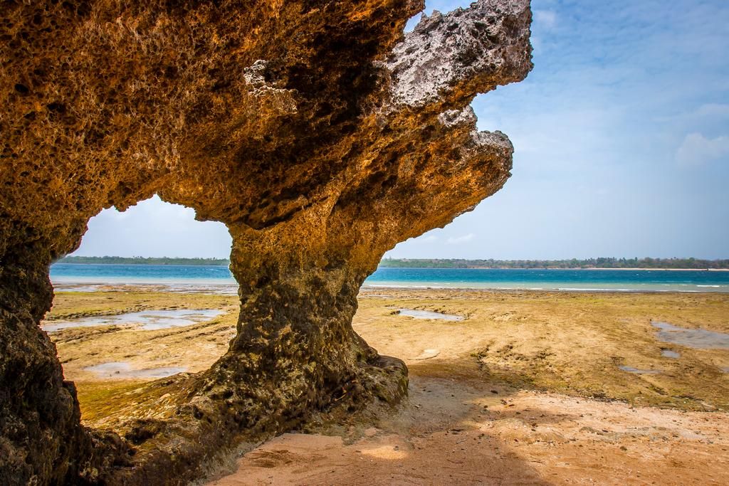 Hôtel Neptune Paradise Beach Resort 4* et Safari 3 nuits pas cher photo 12