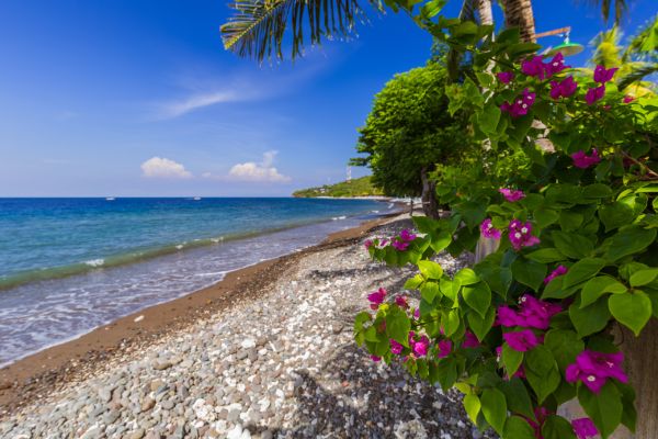 Combiné Jungle Océan et Sable de Bali 4* pas cher photo 2