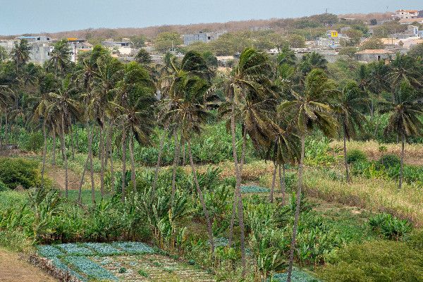 Circuit Santiago, île nature et culture du Cap-Vert 3* pas cher photo 10