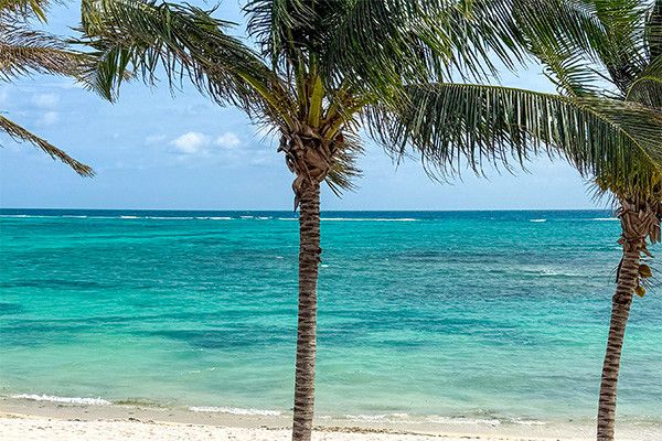 Hôtel Club Framissima Évasion Tulum Riviera 4* pas cher photo 33