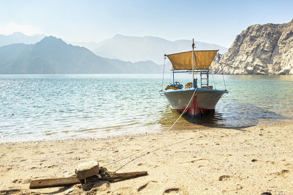 Circuit Merveilleux Emirats pas cher photo 11