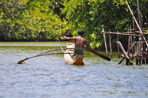 Circuit Ceylan, Perle de l'Océan Indien (privatif) pas cher photo 24