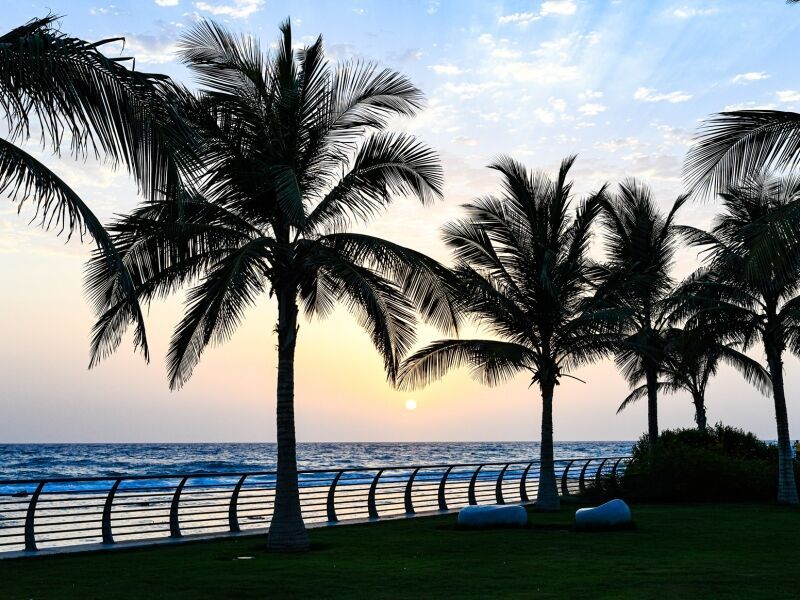 Circuit Arabie Saoudite, Le Complet 4* pas cher photo 1