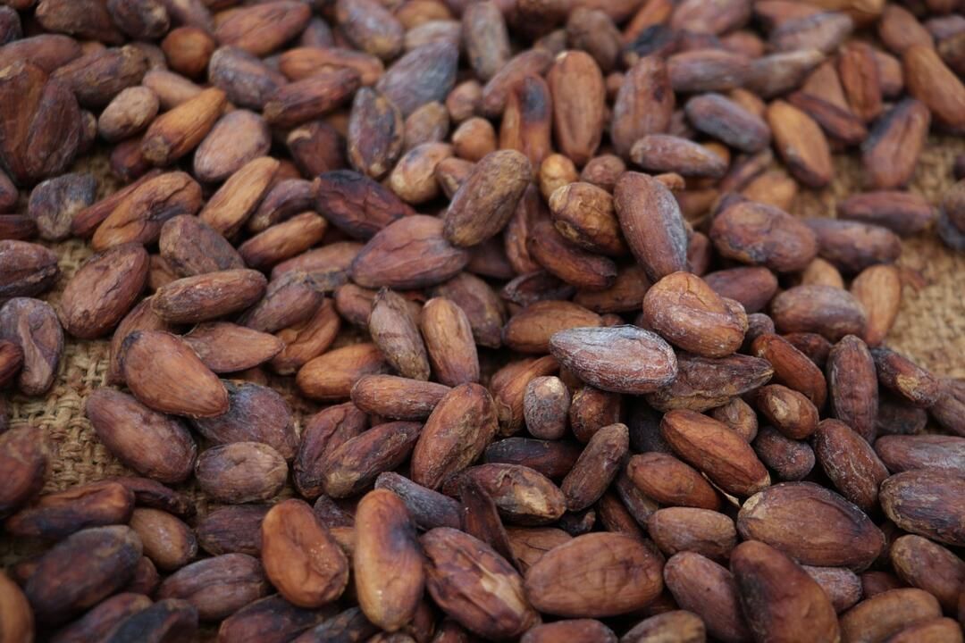 Circuit Liberté des Volcans aux Plages du Pacifique 3* pas cher photo 10