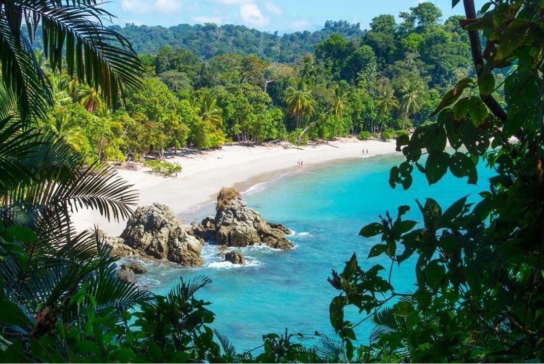Mon Circuit Liberté de Tortuguero aux Plages du Pacifique 3* pas cher photo 2