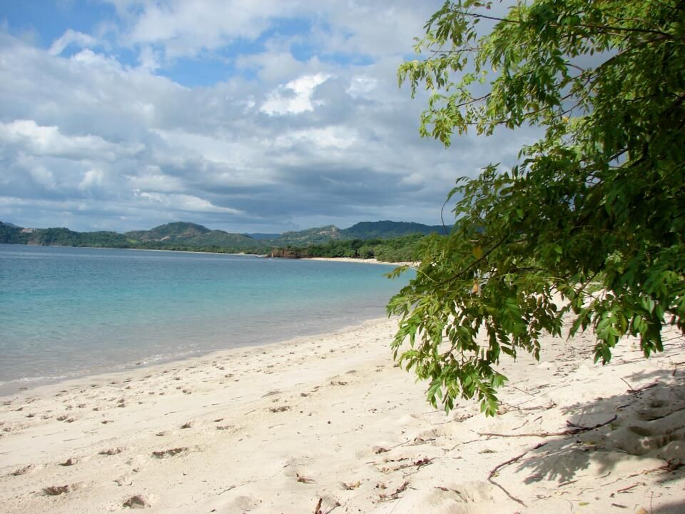 Circuit Entre Jungles et Forêts du Costa Rica avec extension Playa Tamarindo 3* pas cher photo 37