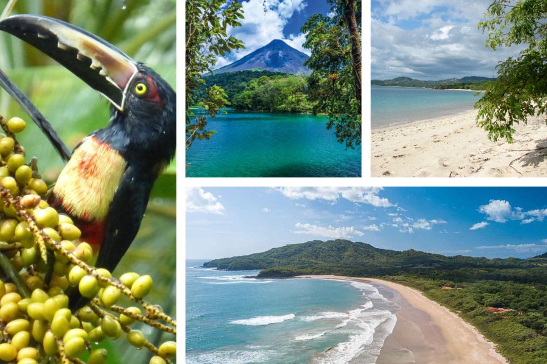 Circuit Entre Jungles et Forêts du Costa Rica avec extension Playa Tamarindo 3* pas cher photo 2