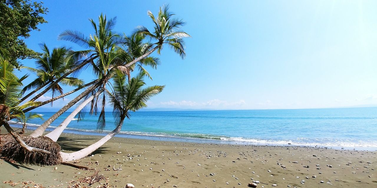 Circuit Entre Jungles et Forêts du Costa Rica avec extension Playa Samara 3* pas cher photo 2