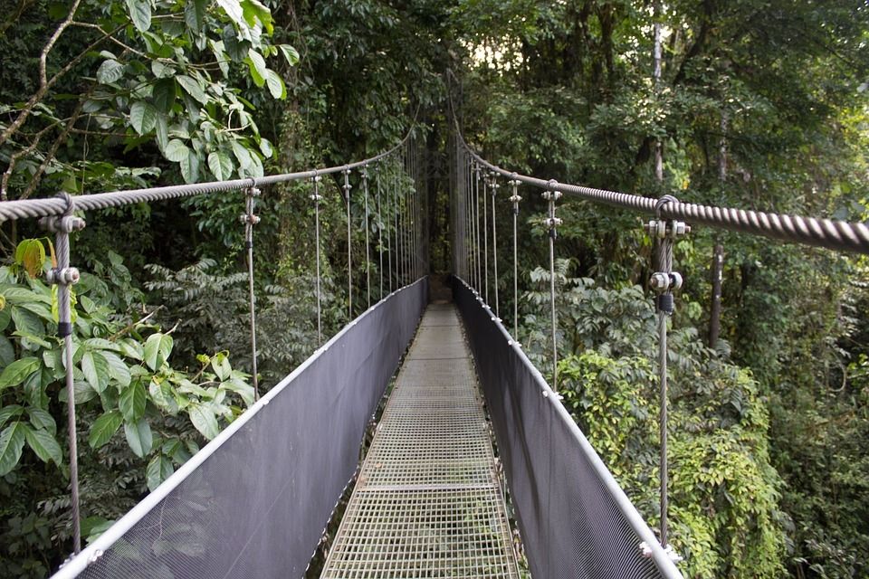 Circuit Entre Jungles et Forêts du Costa Rica avec extension Playa Samara 3* pas cher photo 5