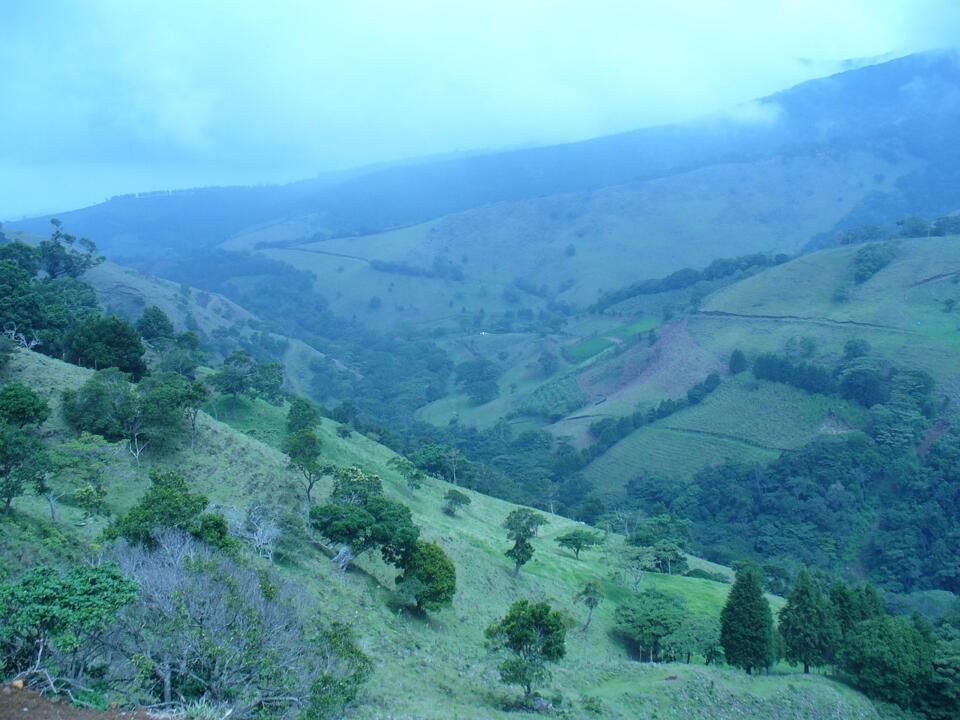 Circuit Entre Jungles et Forêts du Costa Rica avec extension Playa Samara 3* pas cher photo 20
