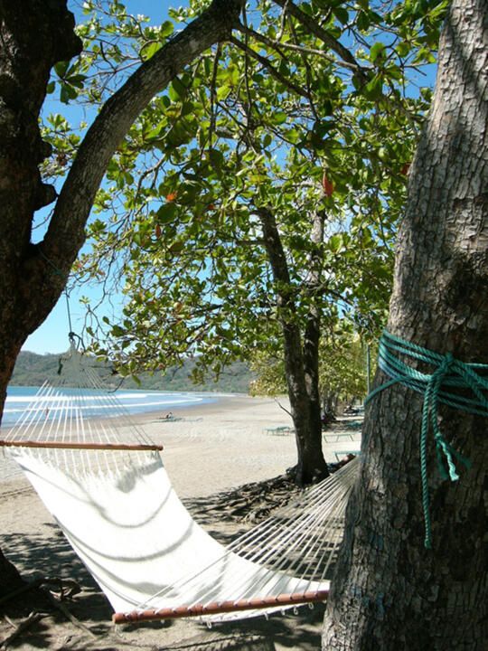 Circuit Entre Jungles et Forêts du Costa Rica avec extension Playa Tambor 3* pas cher photo 1
