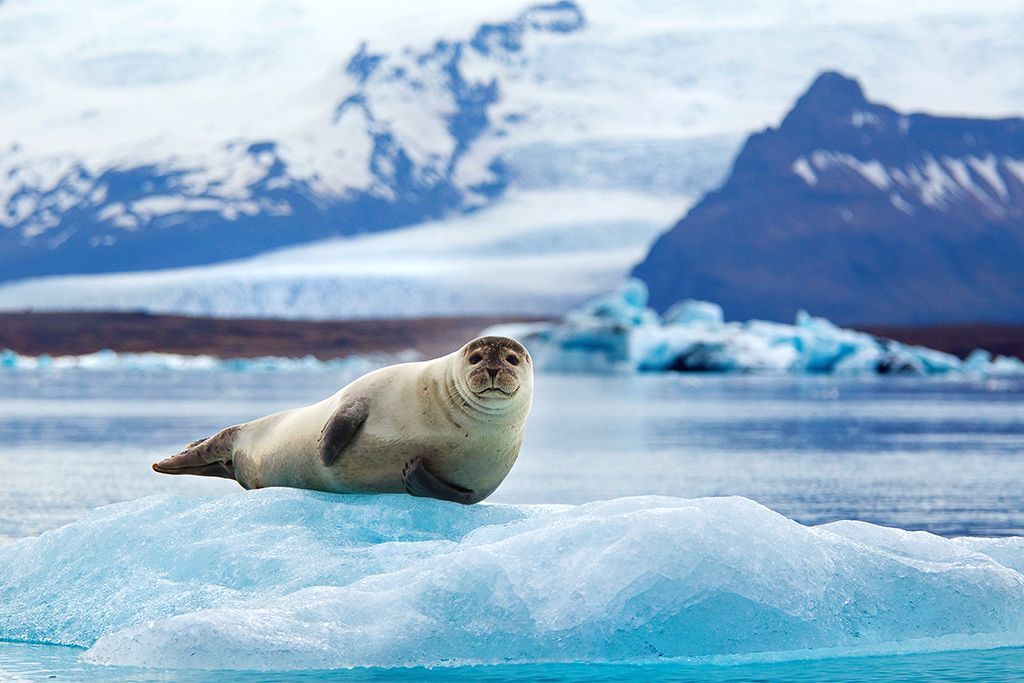 Autotour Glacier Aventure 3* pas cher photo 17