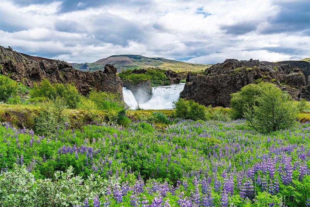 Autotour Sérénité Islandaise 3* pas cher photo 11