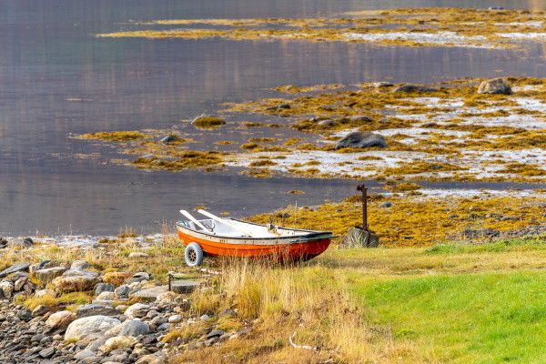 Circuit Vision Incontournable de Scandinavie pas cher photo 13