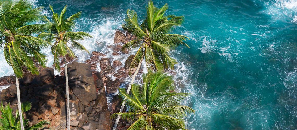 Circuit Découvertes Sri Lankaise 5* et Extension Hôtel Fihalhohi Island Resort 4* pas cher photo 6