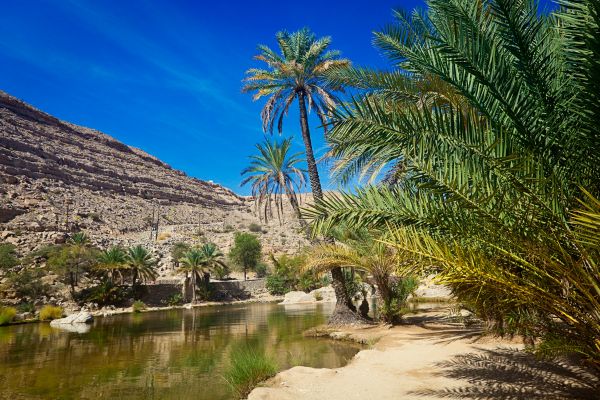 Circuit Les Mystères d'Oman pas cher
