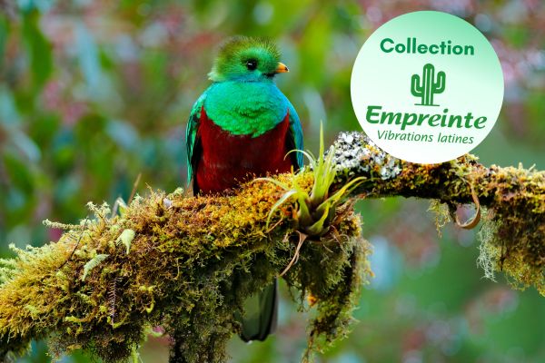 Circuit Autotour Faune & Flore du Costa Rica pas cher photo 2