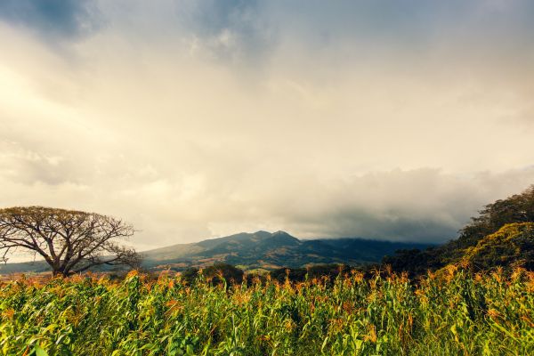 Circuit Autotour Faune & Flore du Costa Rica pas cher photo 5