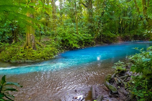 Circuit Autotour Faune & Flore du Costa Rica pas cher photo 6