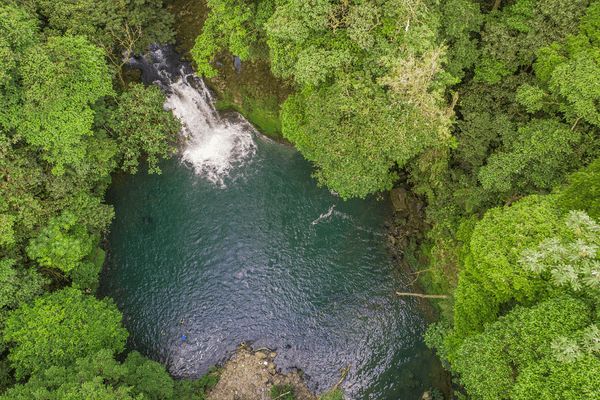 Circuit Autotour Faune & Flore du Costa Rica pas cher photo 14