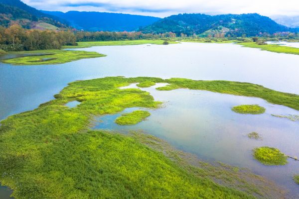 Circuit Autotour Faune & Flore du Costa Rica pas cher photo 19
