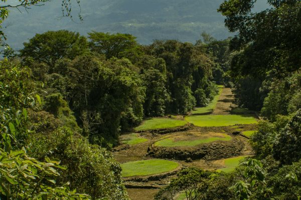 Circuit Autotour Faune & Flore du Costa Rica pas cher photo 21