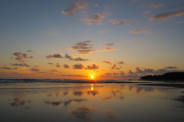 Circuit Autotour Faune & Flore du Costa Rica pas cher photo 24