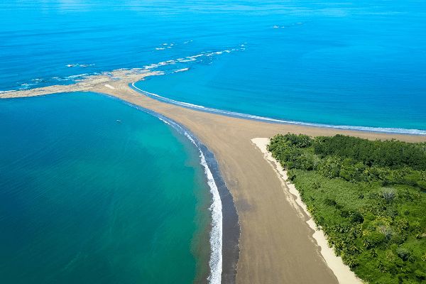 Circuit Autotour Faune & Flore du Costa Rica pas cher photo 28