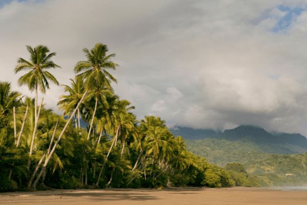 Circuit Autotour Faune & Flore du Costa Rica pas cher photo 1