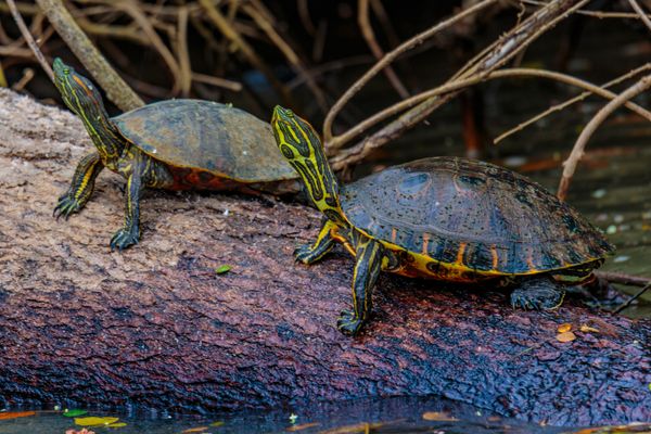 Circuit Autotour : Balade entre 2 Océans pas cher photo 5