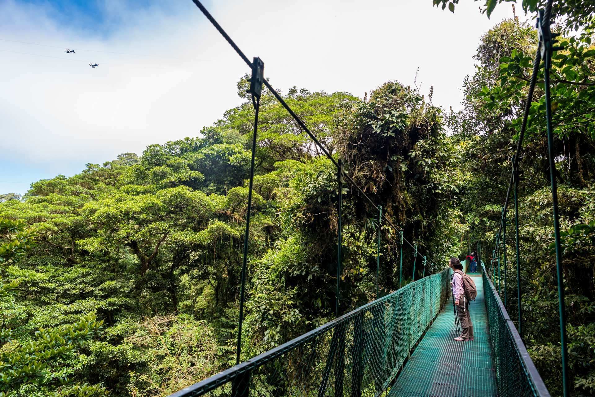 Autotour Sur La Route du Costa Rica : Monteverde et Plage 3*-5* pas cher photo 3