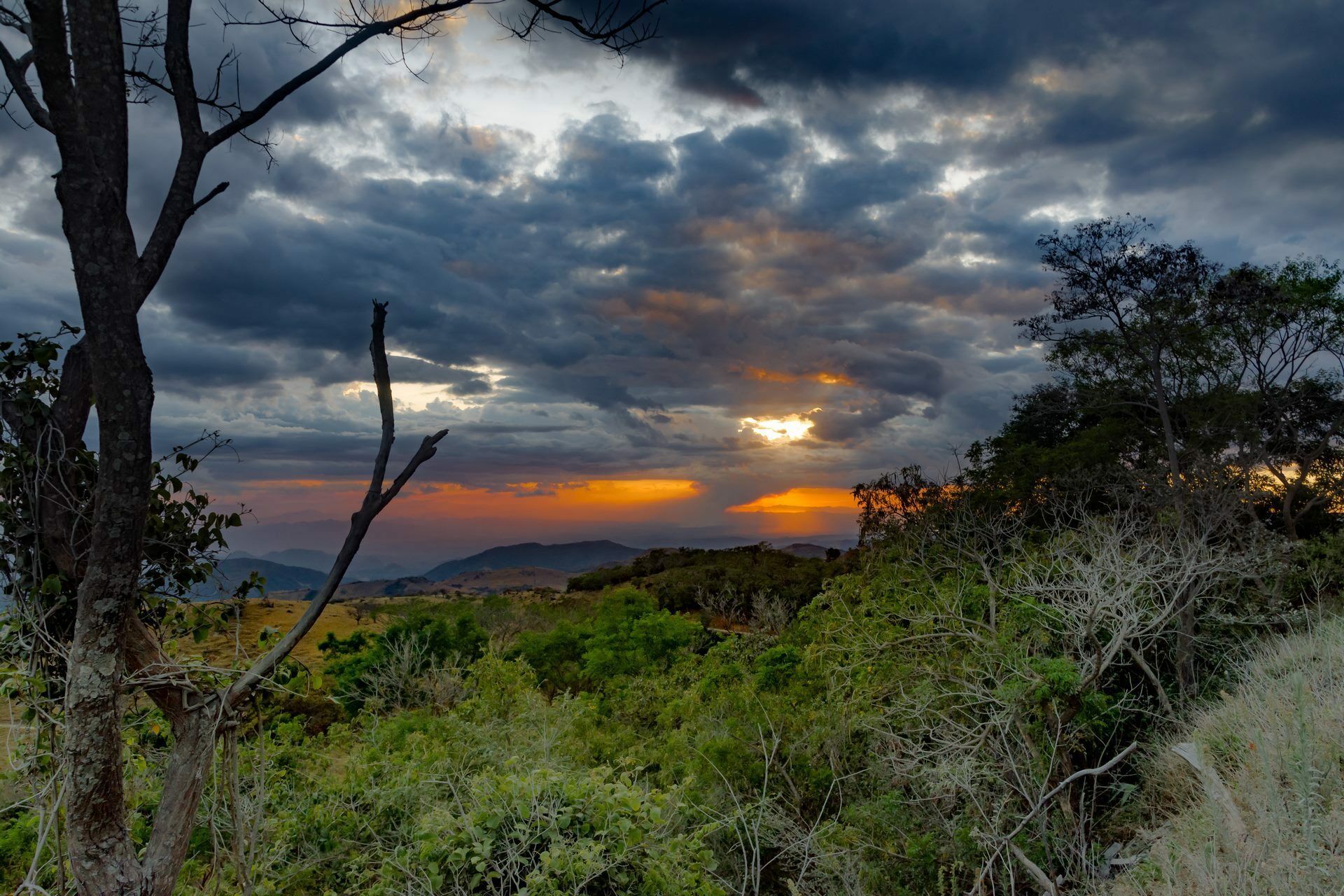 Autotour Sur La Route du Costa Rica : Monteverde et Plage 3*-5* pas cher photo 4