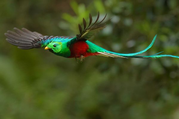 Circuit Sur la Piste du Quetzal 3*-4* pas cher photo 15
