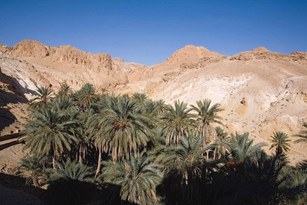 Combiné circuit et hôtel Circuit Beautés du Désert Tunisien et Jumbo Baya Beach Aqua Park Hôtel 4* pas cher photo 12