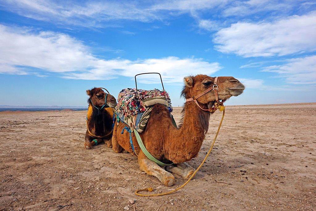 Circuit Entre Mer et Désert 3*-4* pas cher photo 15