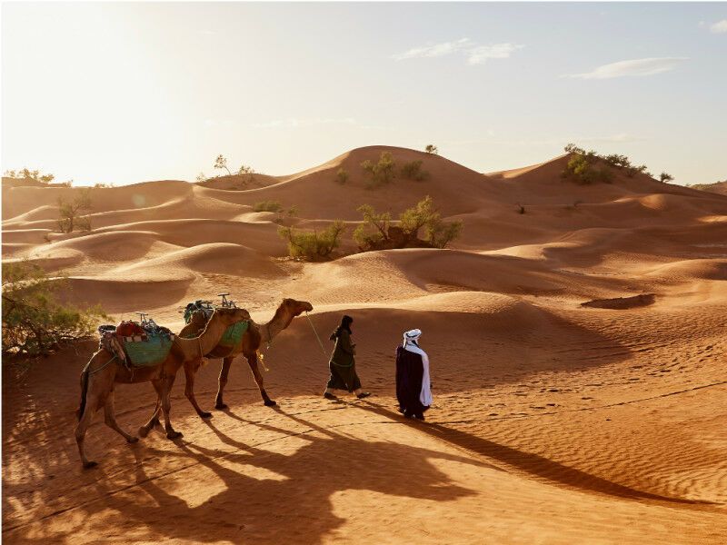 Circuit Les Merveilles Du Sultanat D'Oman 4* pas cher