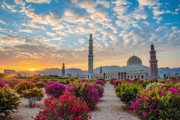 Autotour Joyaux du Sultanat d'Oman pas cher photo 19