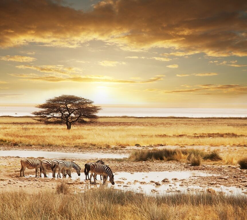 I Love Afrique du Sud & Chutes Victoria - 16J/13N - Du 31/10 au 28/11/26 pas cher photo 3