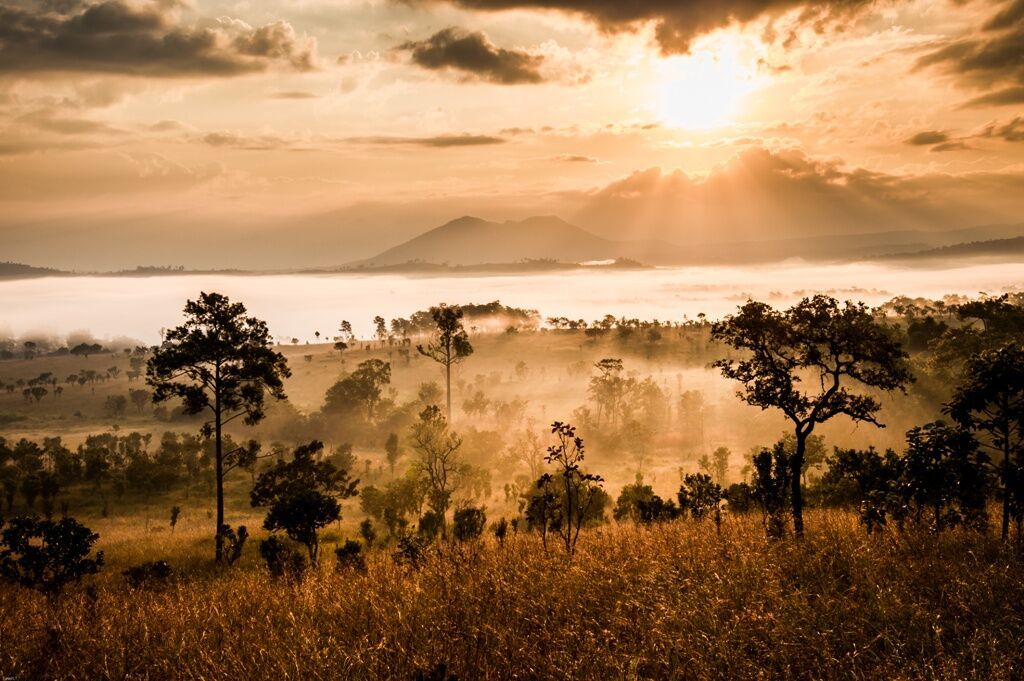 Safari Dream, Chutes Victoria et Parc Chobe 2025 - 14J/11N - Vols Air France pas cher photo 12