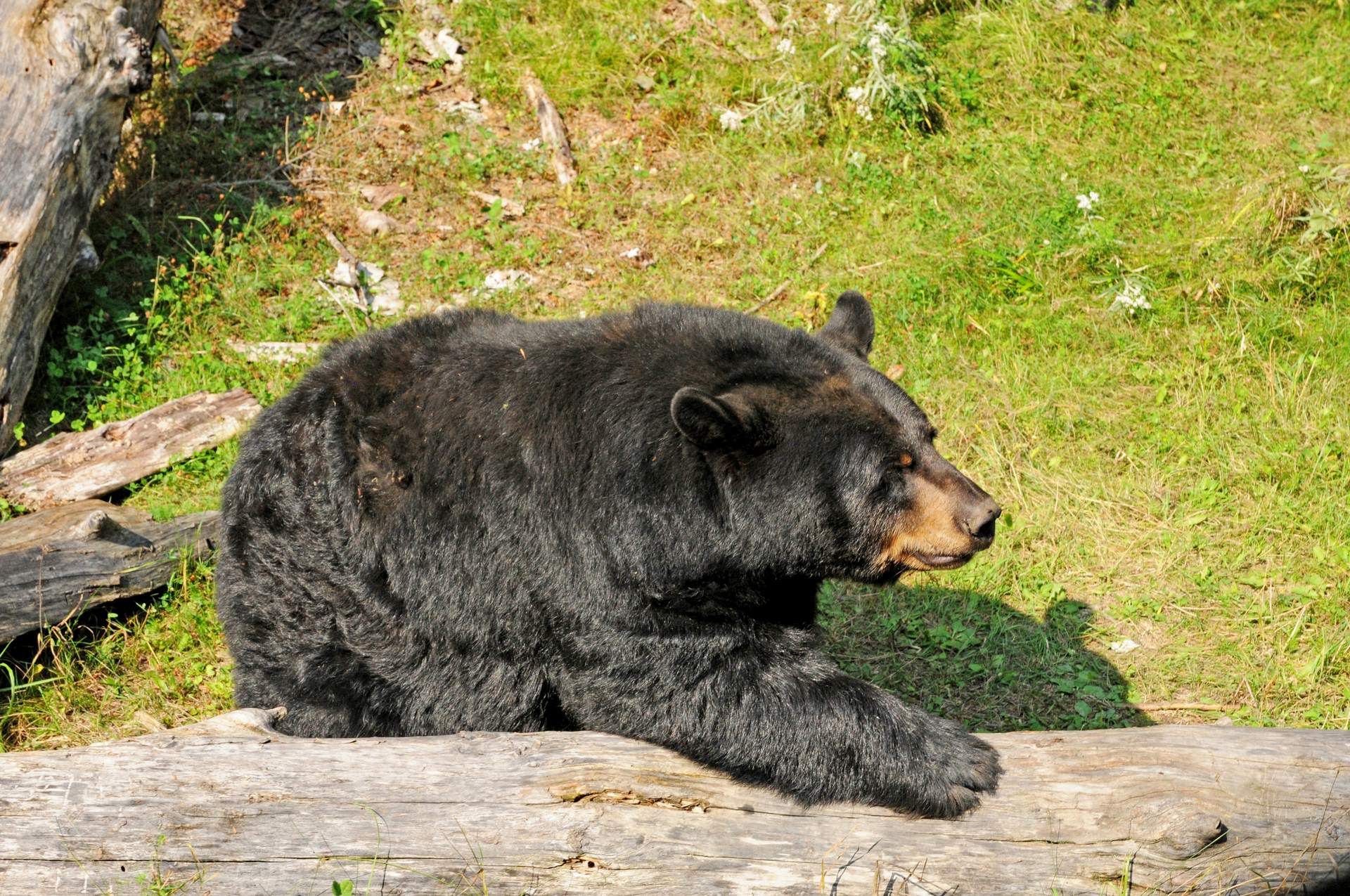 Beautés de l'Est Canadien - 12J/10N pas cher photo 10