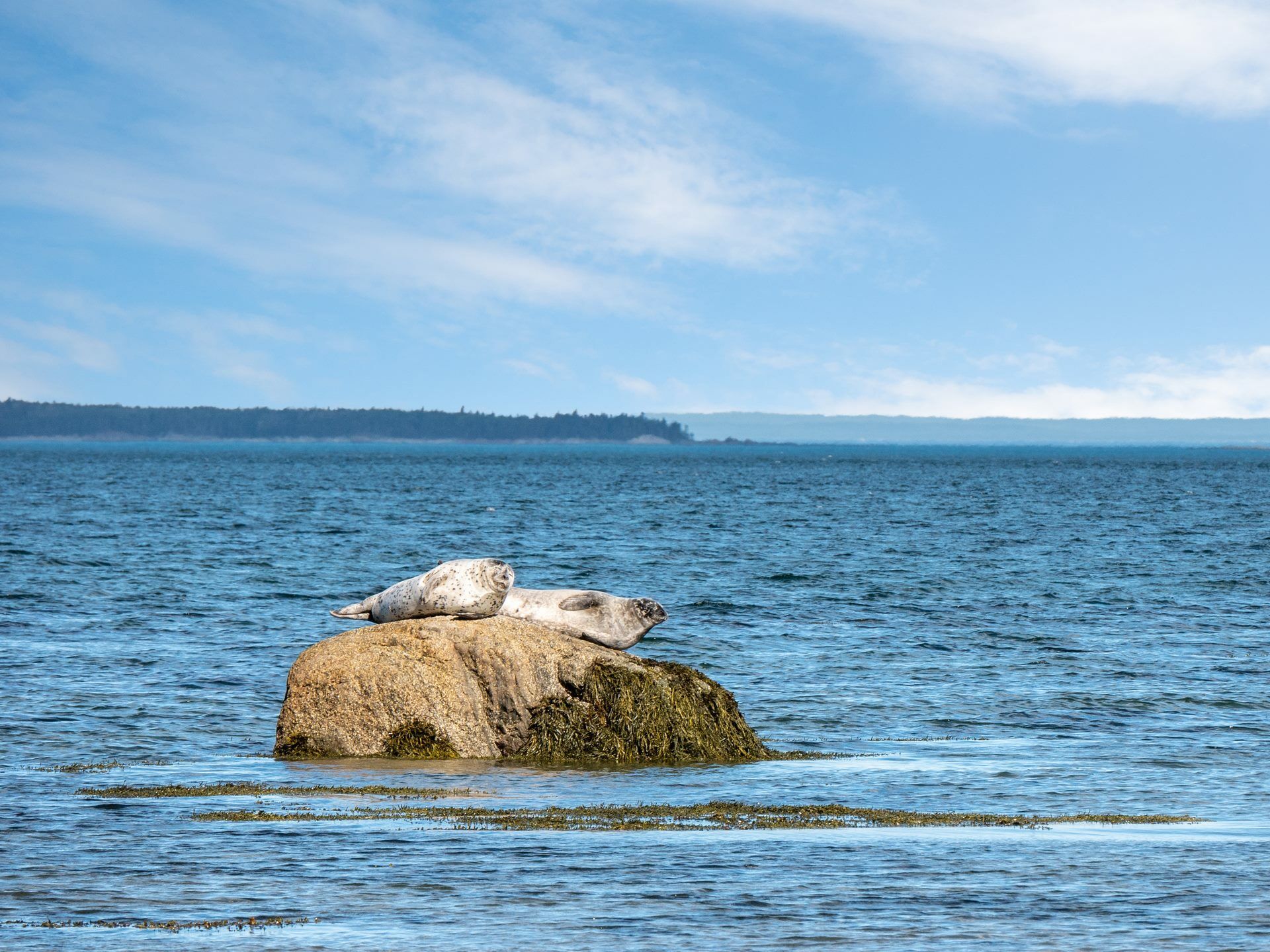 Magie du Canada - 14J/12N - 2025/26 pas cher photo 8