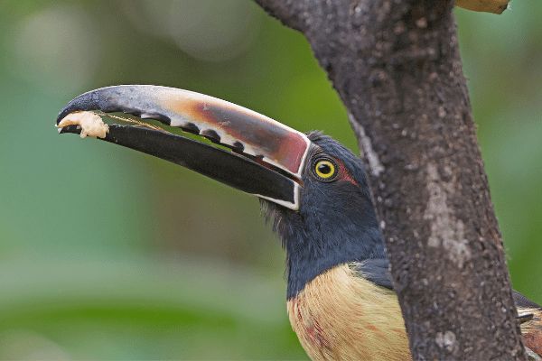 Circuit Autotour Les Chemins de la Découverte pas cher photo 8