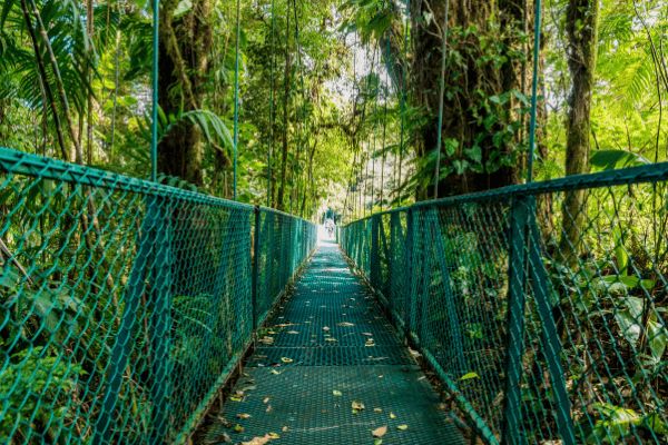 Circuit Autotour Les Chemins de la Découverte pas cher photo 10