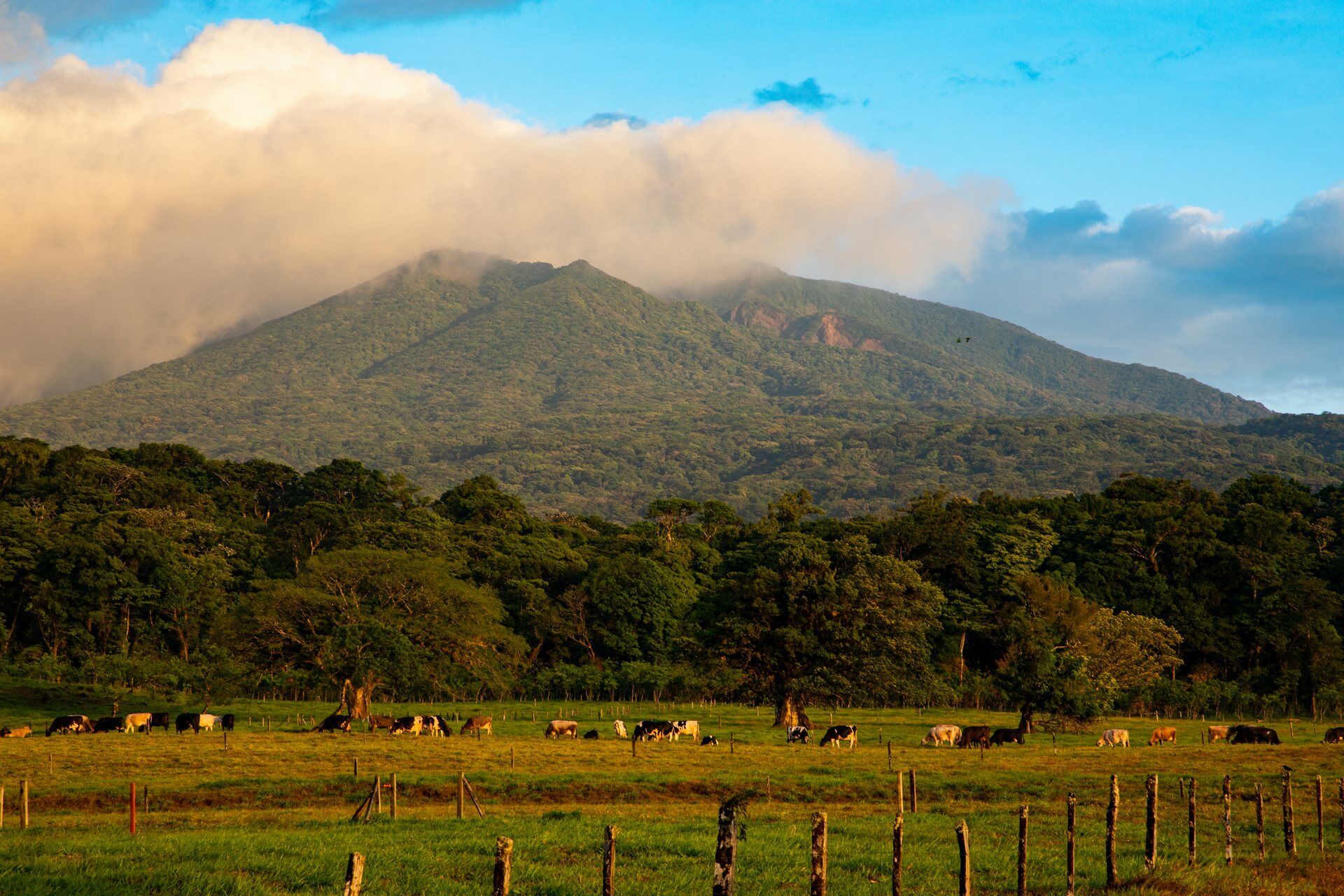 Sur la route du Costa Rica et Rincon de la Vieja - 10J/8N pas cher photo 2